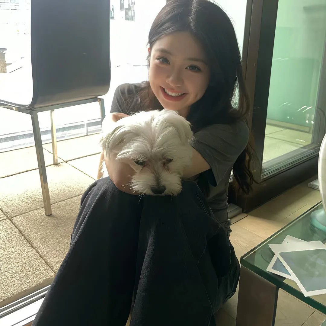 红犬历险记
